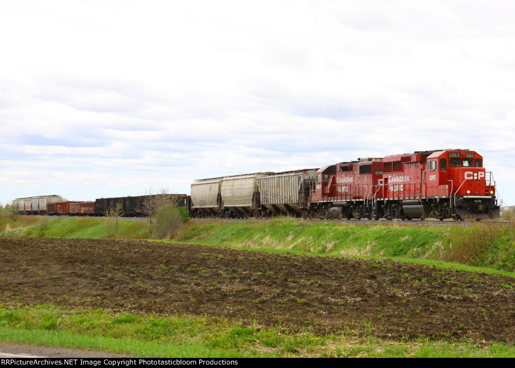 CP 2263